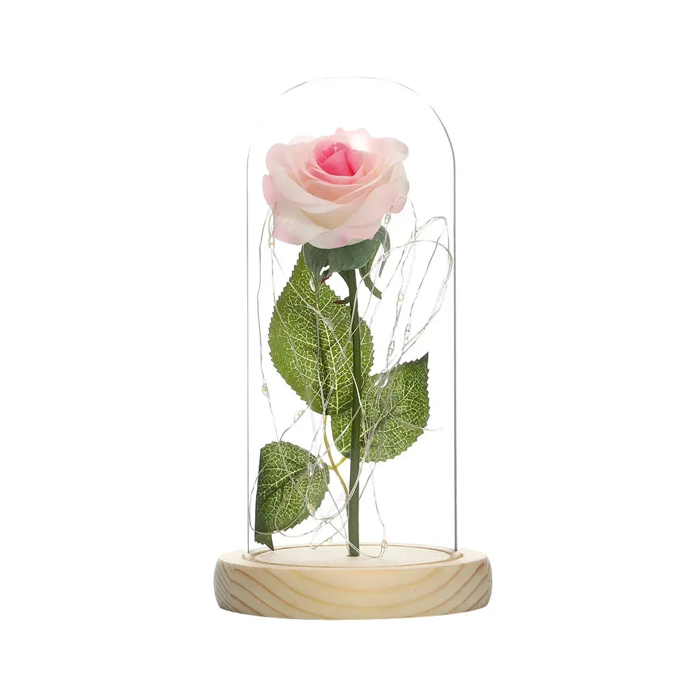 S154bff16c20747a0b4e3ca48220a2d16f