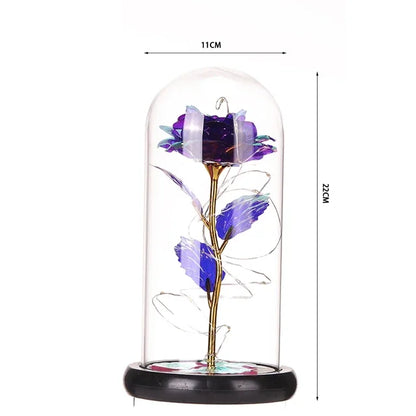 S6762bdd6fb6c4d05b75b426c9d7269176