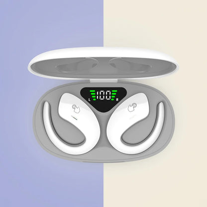 S6fdcccefd5704a5185877f61bb893294V