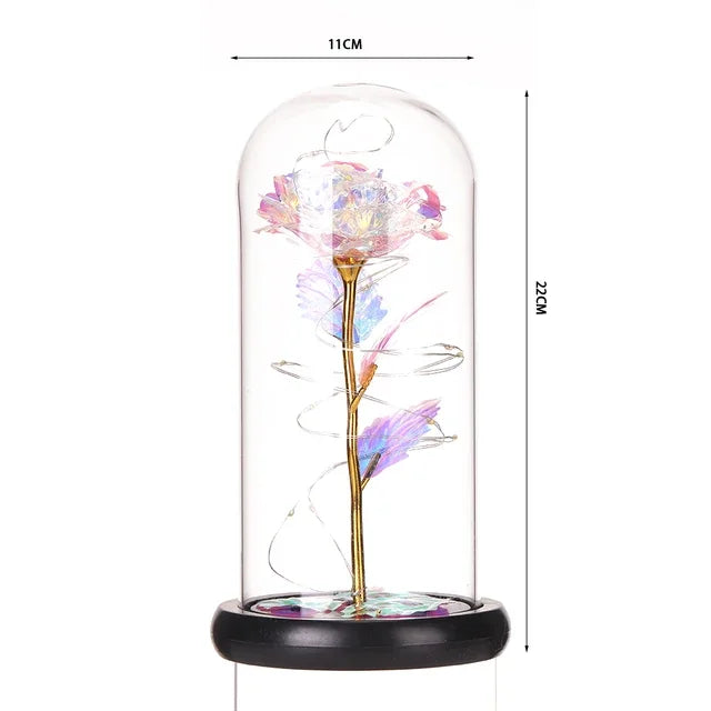 S72635caee54945d0b26dc01067706fa5t