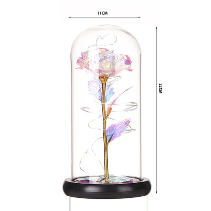 S72635caee54945d0b26dc01067706fa5t