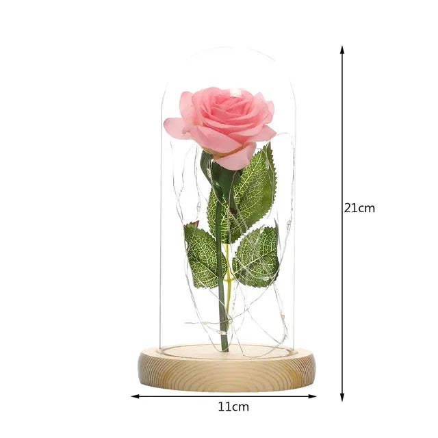 S890eed00f7f247b383d96bc2ee89e91bw