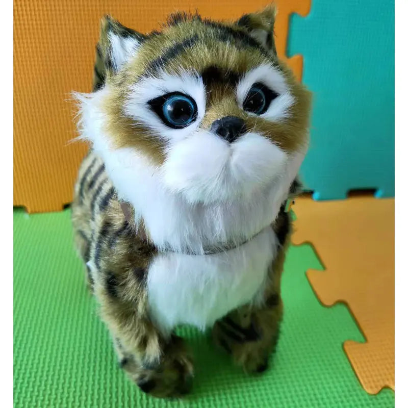 S89764a9196b64eeabec361f7f4aa8cd2f