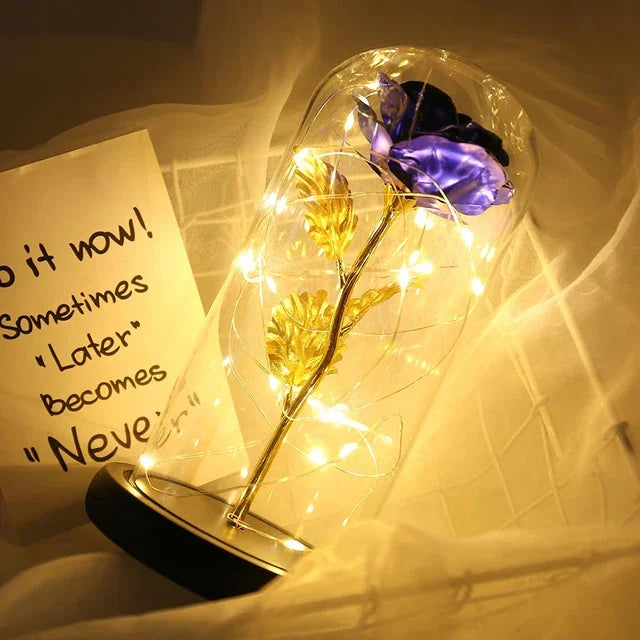 Sc80bc5813d564b1b94870e17af9cef63y