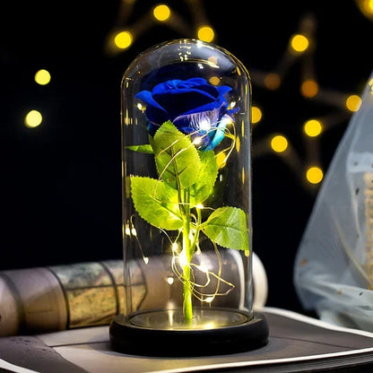 Sf54005eb4a5042a39a8f8a170db27ff3g