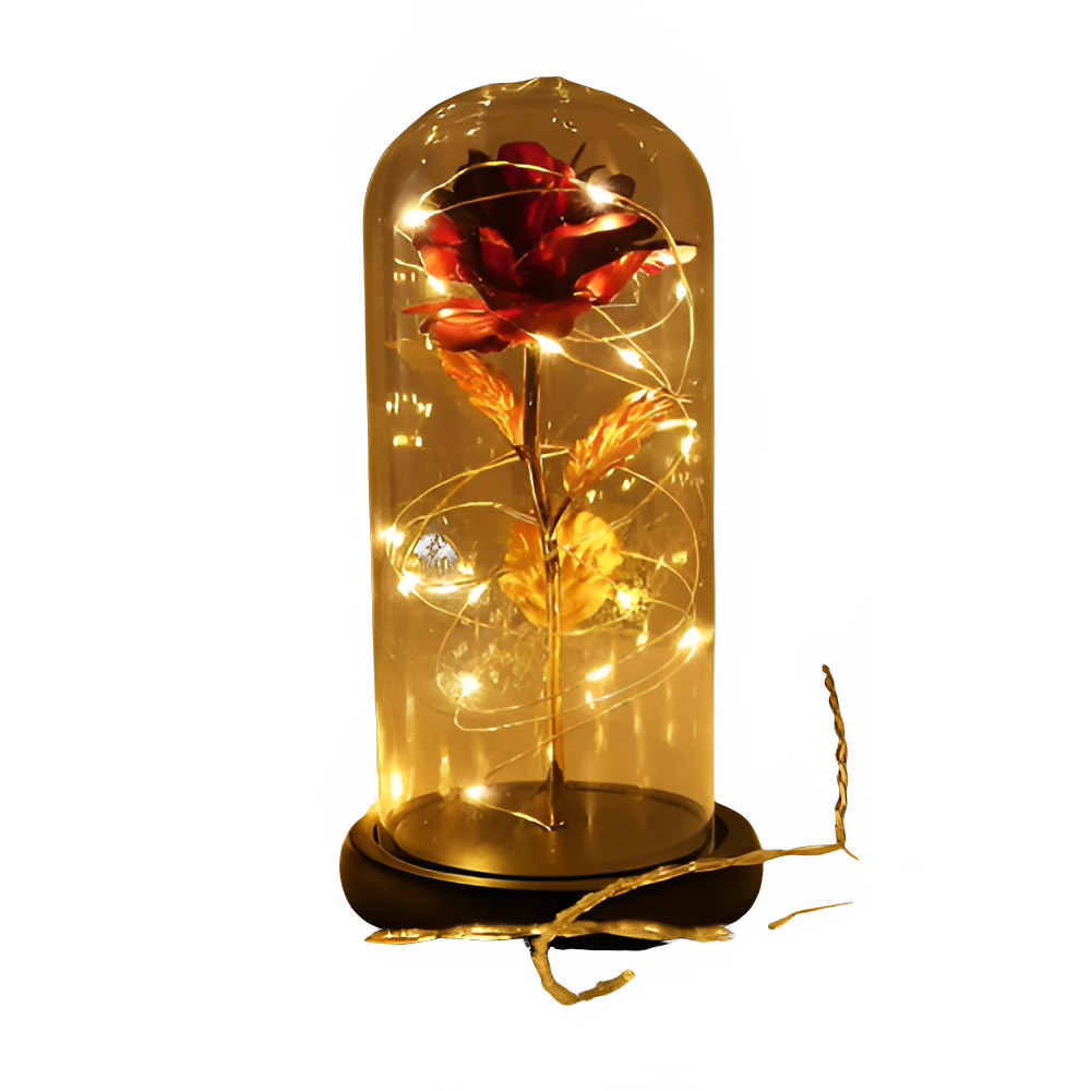 ef54a2fa-3b01-43e7-a5af-29934af76093