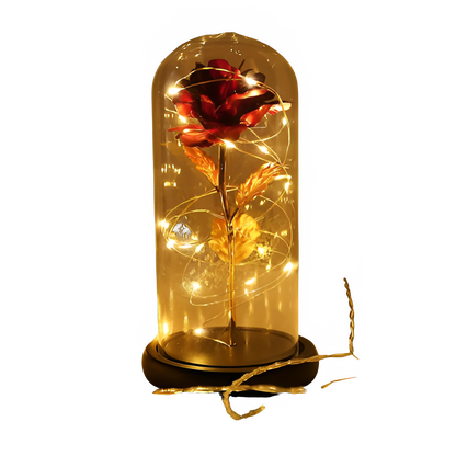 ef54a2fa-3b01-43e7-a5af-29934af76093