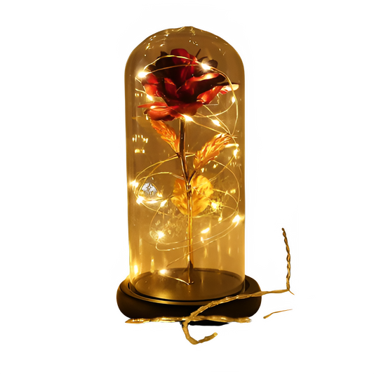 ef54a2fa-3b01-43e7-a5af-29934af76093